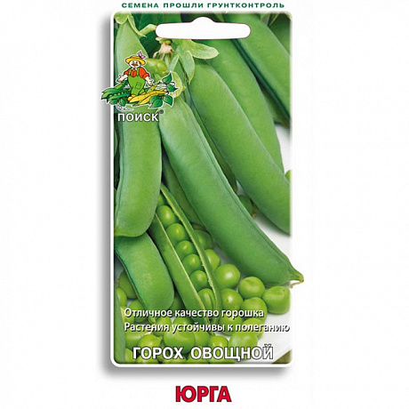 Горох Овощной Юрга фото Горох Овощной Юрга 